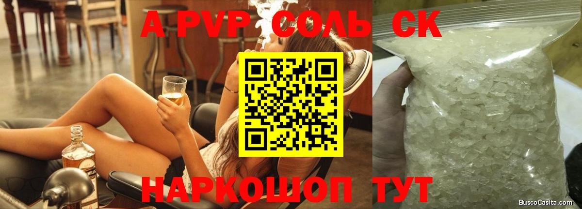 Альфа ПВП СК Курчалой