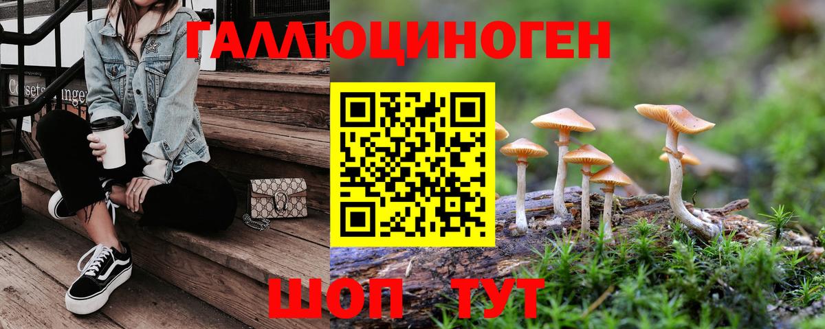 Галлюциногенные грибы Psilocybe  Вход с VPN  закладки  Курчалой 