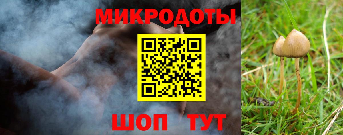 Галлюциногенные грибы Cubensis Курчалой