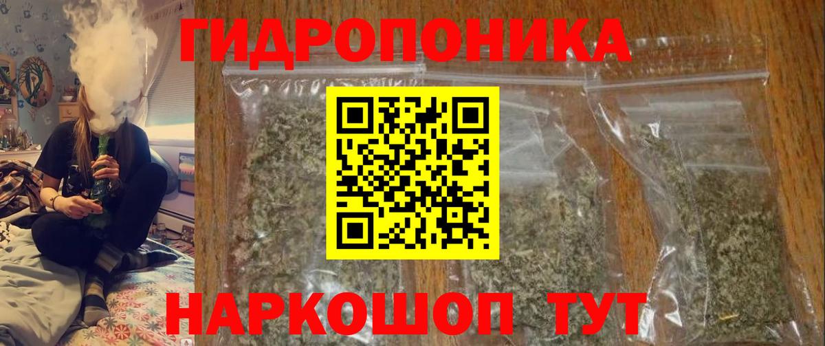 Бошки Шишки гибрид Курчалой
